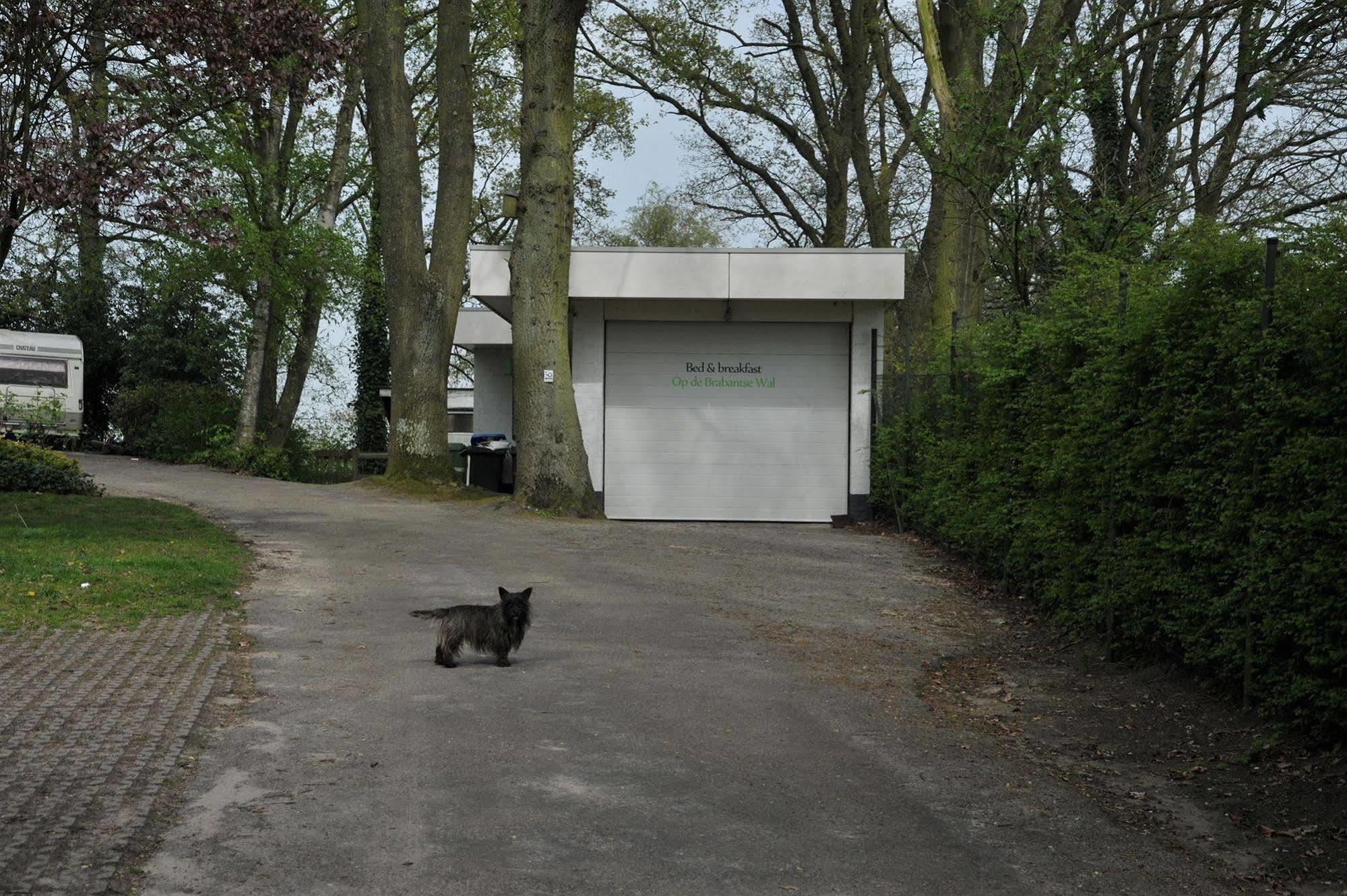 B&B Op De Brabantse Wal Halsteren Esterno foto